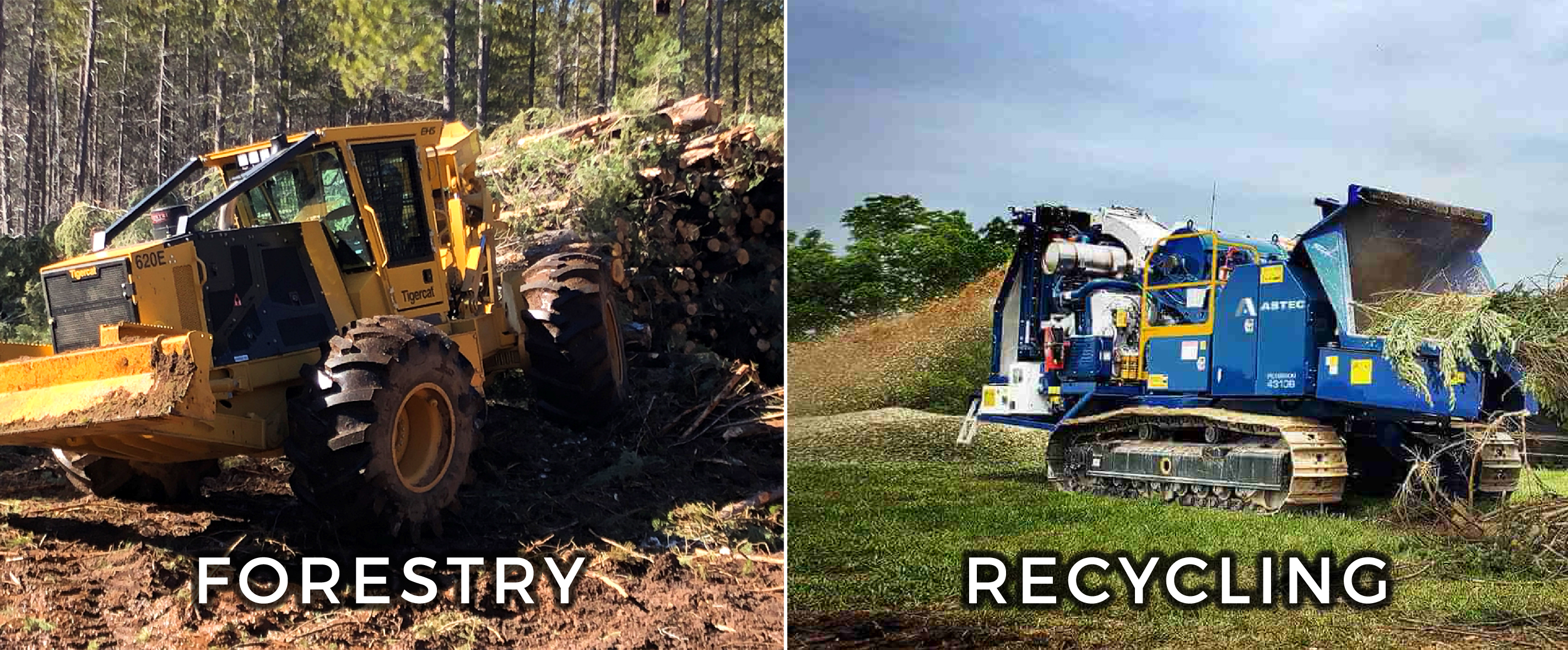 Forestry and Recycling